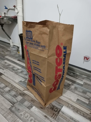 2ply Túi giấy lớn bằng giấy kraft