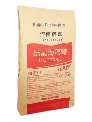 Các giải pháp đóng gói bột túi giấy Kraft đa tường