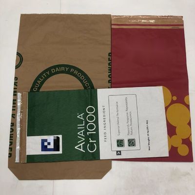 Logo in tùy chỉnh túi giấy đa tường chống ẩm